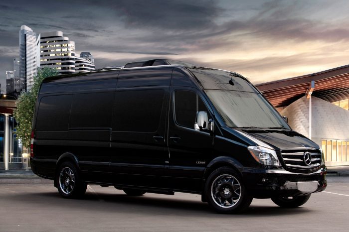 Luxury Sprinter Van